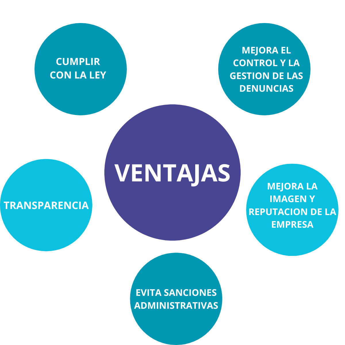 Web Developer Linkedin Post (1)